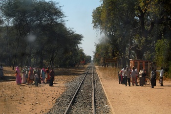 crowd_kolwada_small