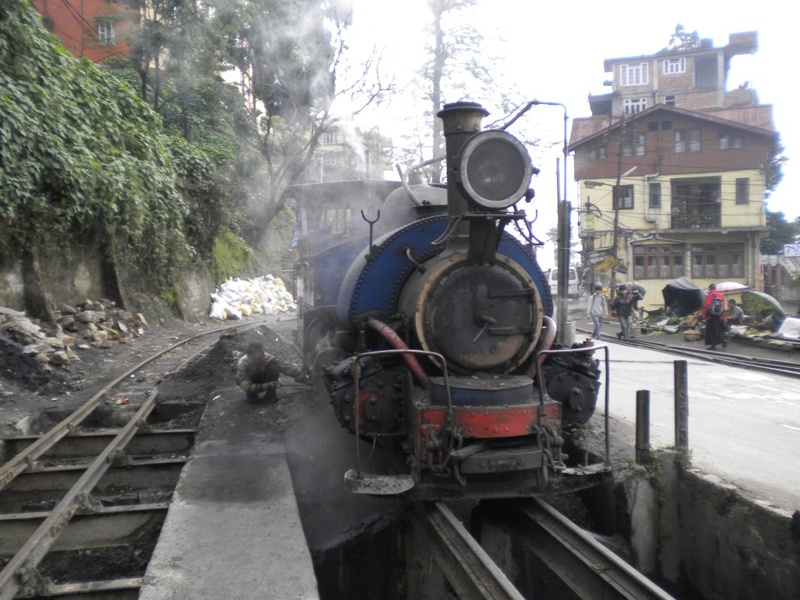 Steam Shed 1