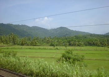 SANY0089_001.jpg