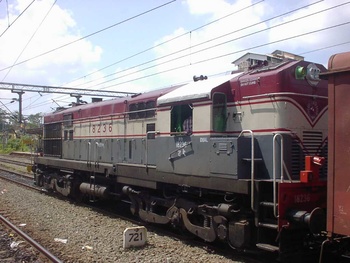 SANY0065.jpg