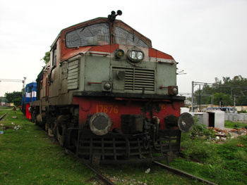 37.IMG_2246