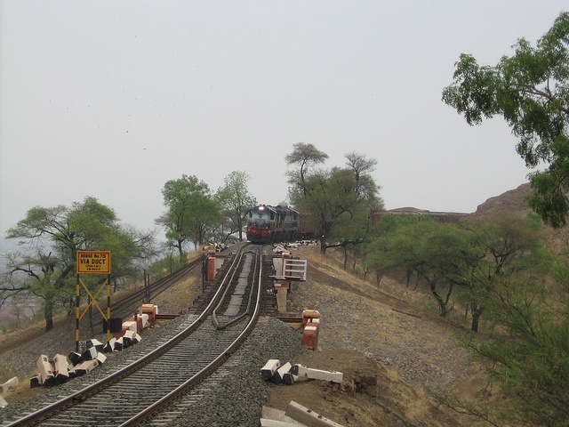 KJM14613A_SHIV_ALE_11june2005.jpg