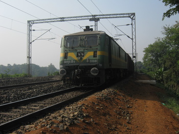 #31081 Ajni WAG-9