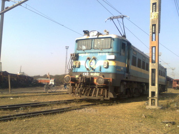 Wag -  28016