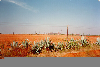 Laterite.jpg