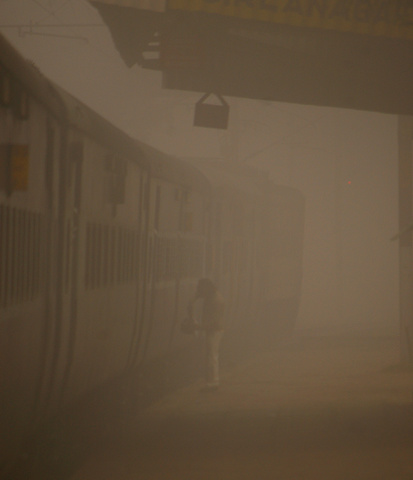 fog-gwalior-tea