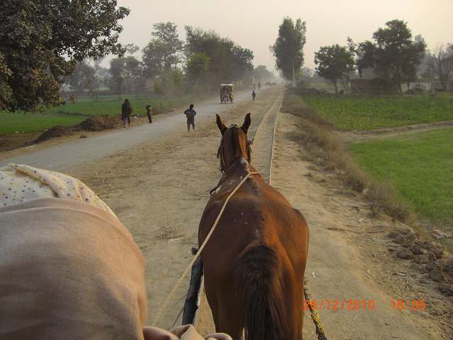 horse-tram-3