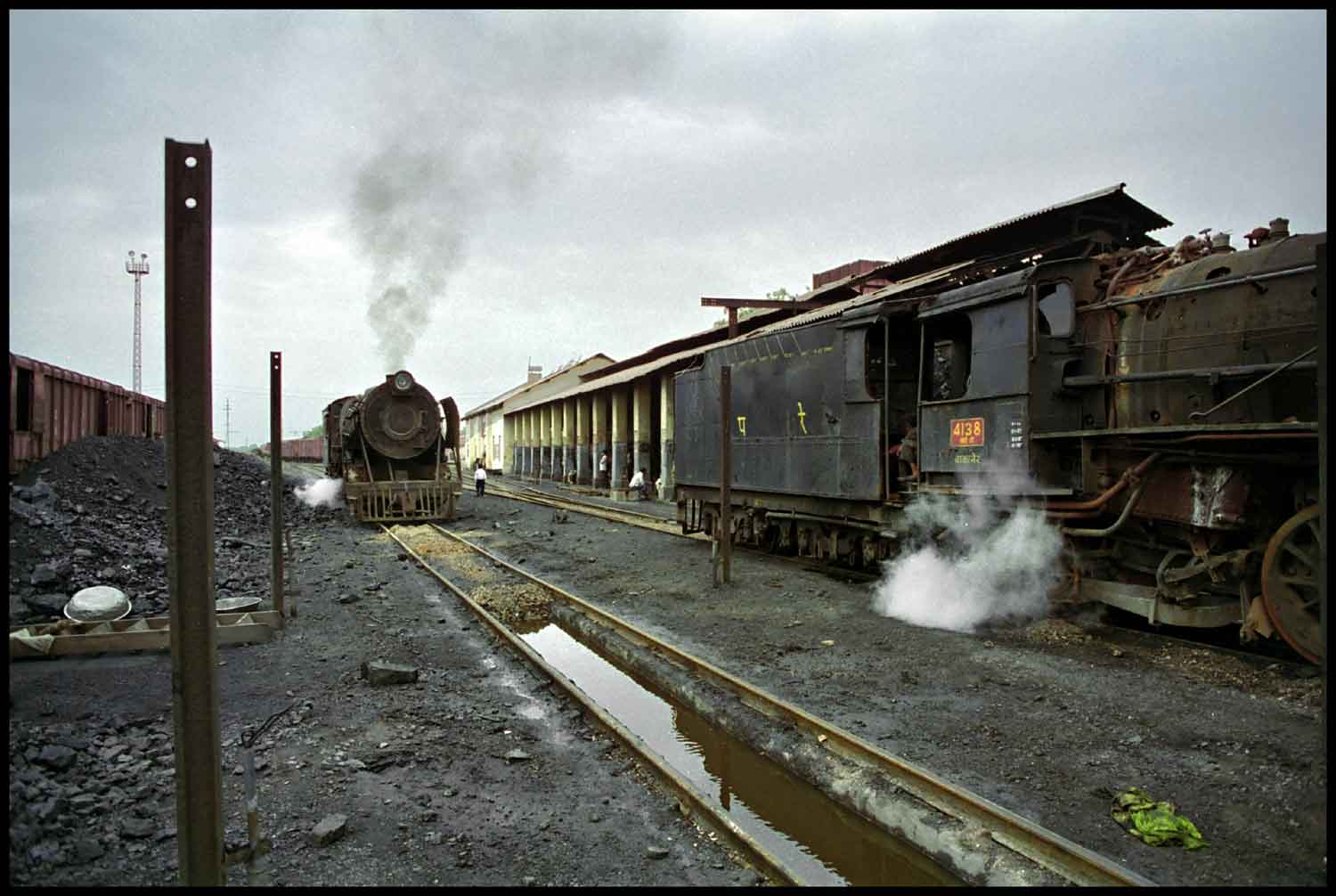 alongside-the-shed