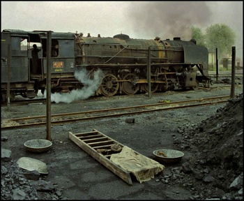 4138-in-yard