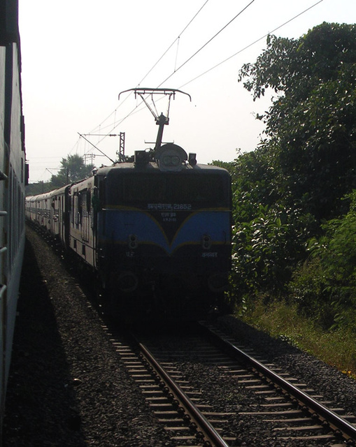 WCAM1_21852_Saurashtra_Exp.jpg