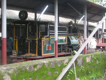 NMLR_steam_Loco_Neral.jpg