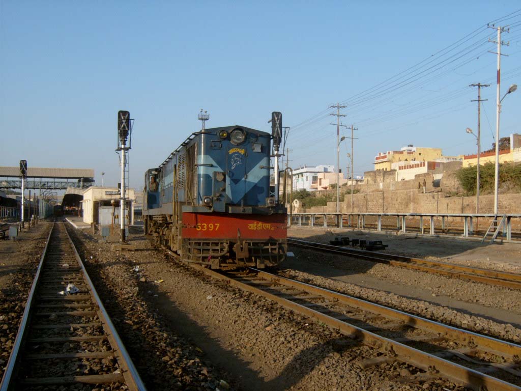 The_beast_running_loose_at_Ajmer.jpg