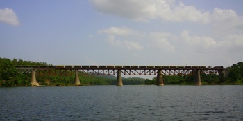 A Tunnel, A Jungle, A River and A Massive Viaduct: The Alfred Viaduct