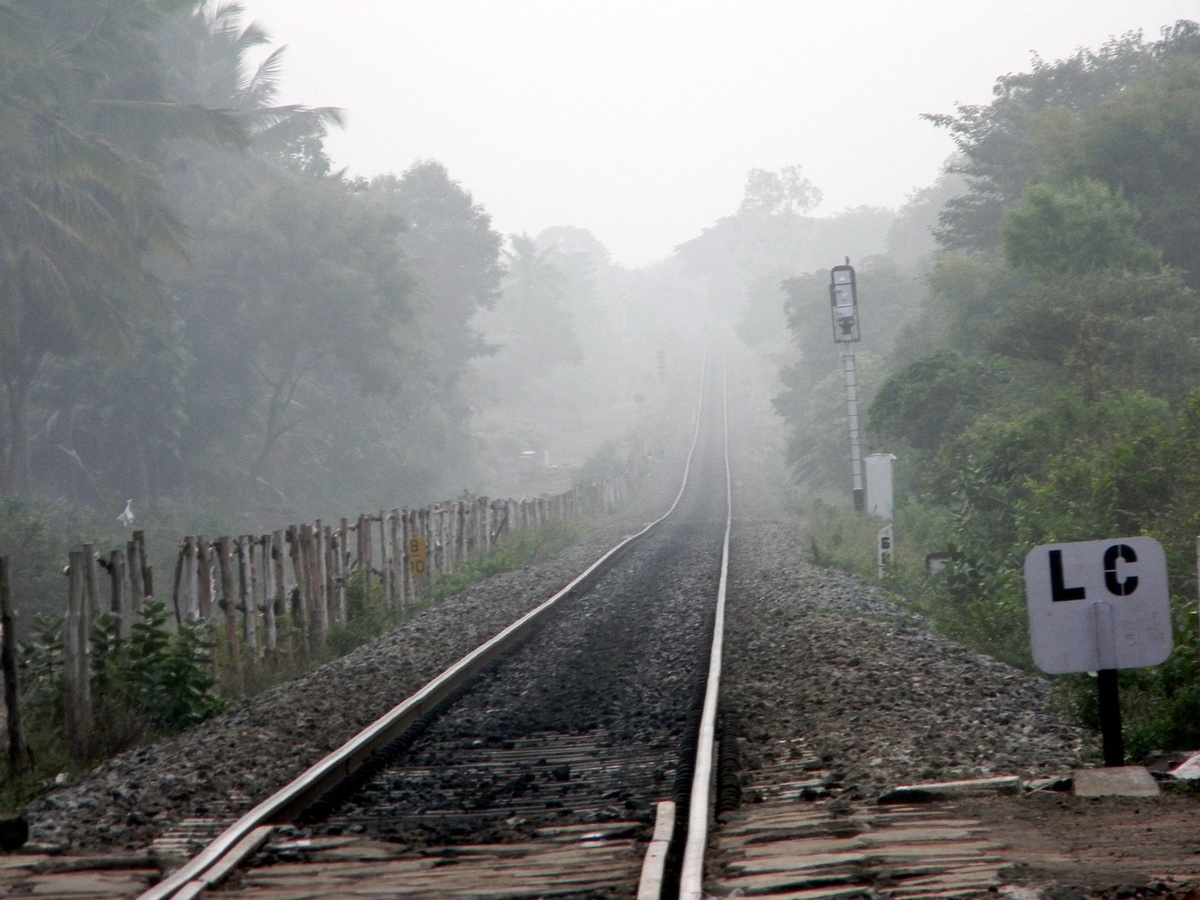 3.Roller coaster ride