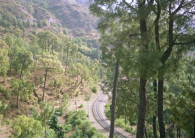 Borag_Ujjain_16_2.jpg