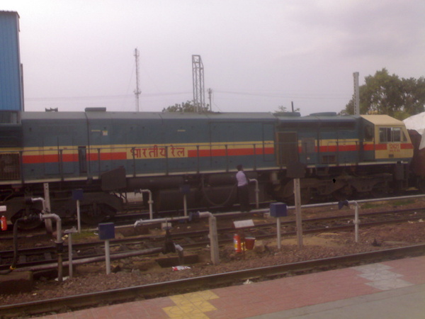 12421 (3)