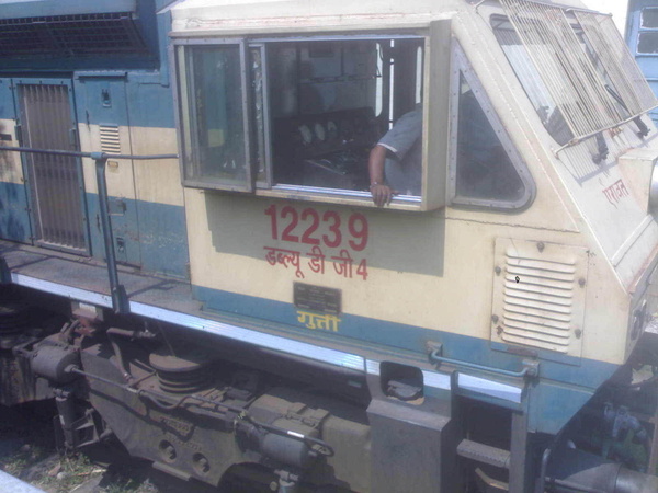 12239 (1)