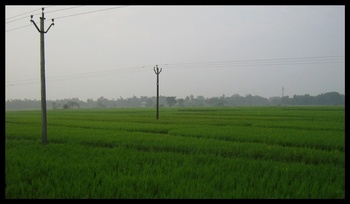 Greenery before Chowhatta