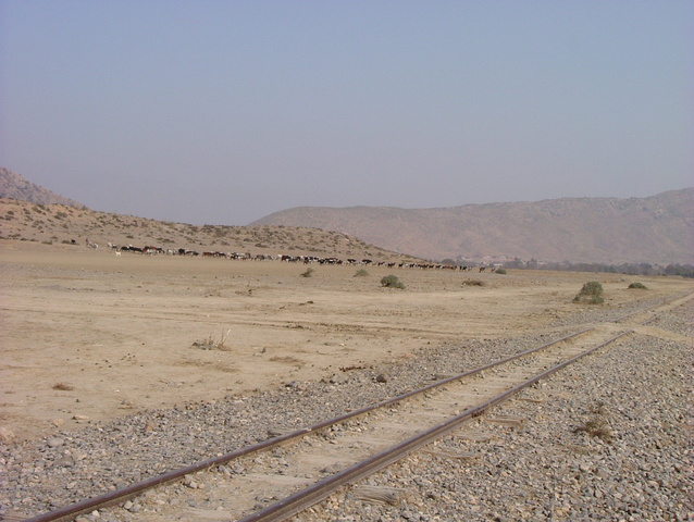 kohat-ng-line