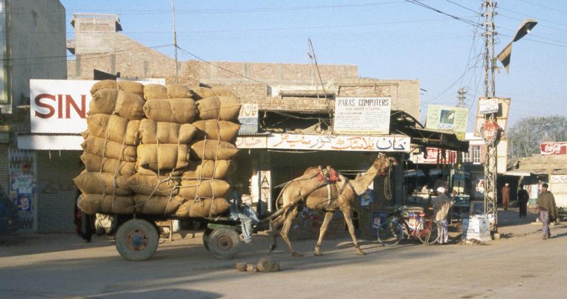 Street scene in Mirpur Khas