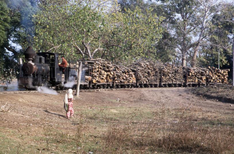 Log train in Changa Manga