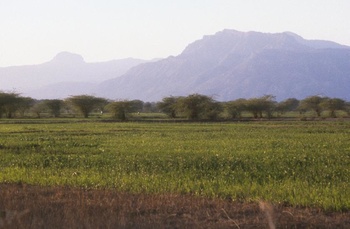 Salt Range