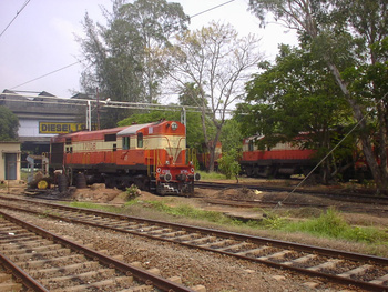 Sany0004.jpg