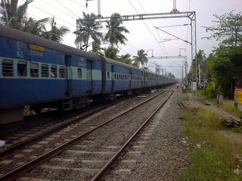 Sany0051.jpg