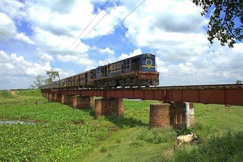 A Discreet Meter Gauge from Bihar