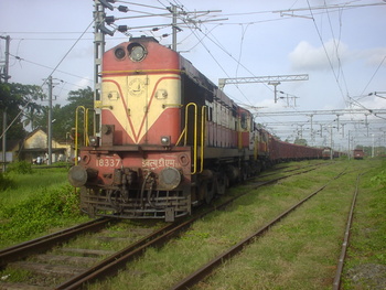 Sany0329.jpg