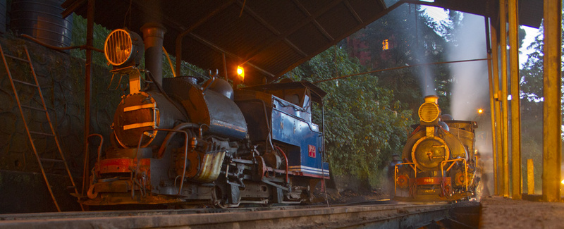 Darjeeling Shed Night
