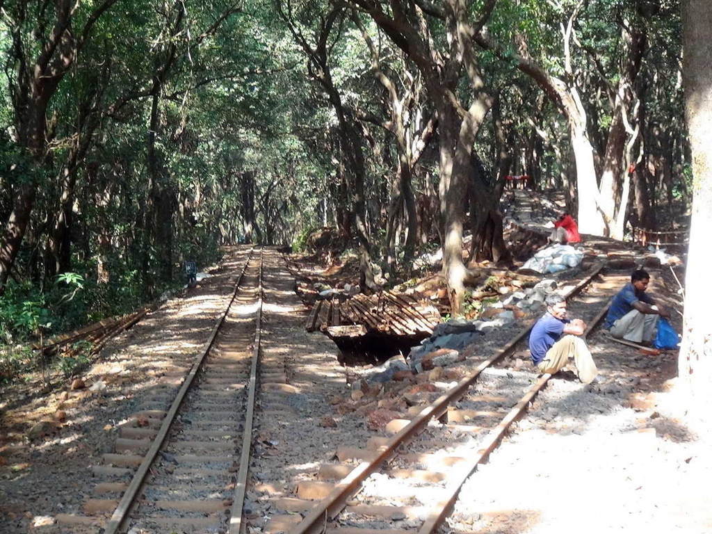 A catchsiding amongst peaceful rain forests of Aman Lodge. (Arzan Kotval)