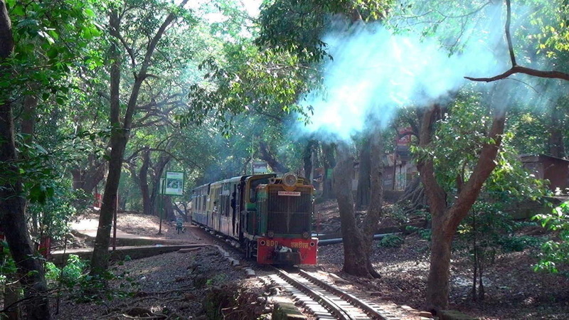 Puff Puff engine puffs a cloud of smoke. (Arzan Kotval)