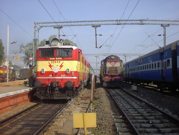 SANY0094.jpg