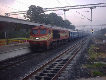 SANY0138.jpg