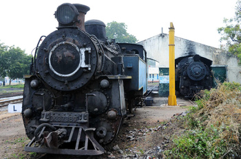 Evergreen Nilgiri Mountain Railways