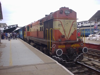 SANY1204.jpg