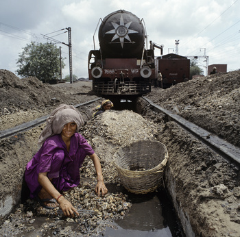 Delhi ashpicker