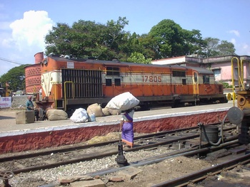 SANY1129.jpg