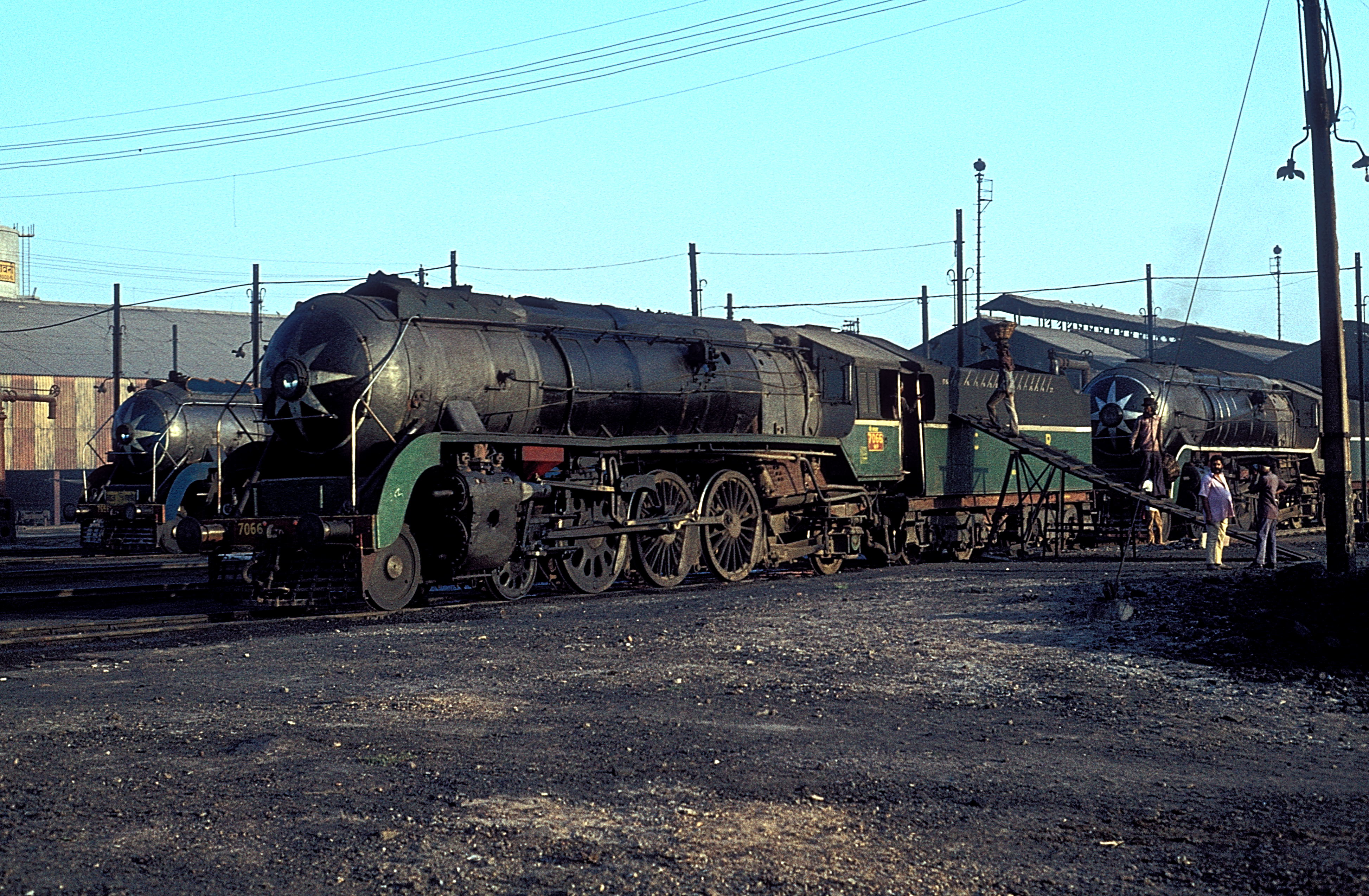 WP 7066 at Agra