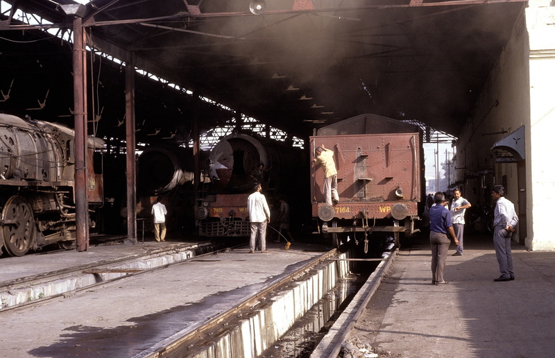 WP 7164 at  Ludhiana 