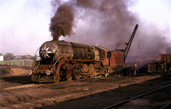 WP 7687   at Saharanpur