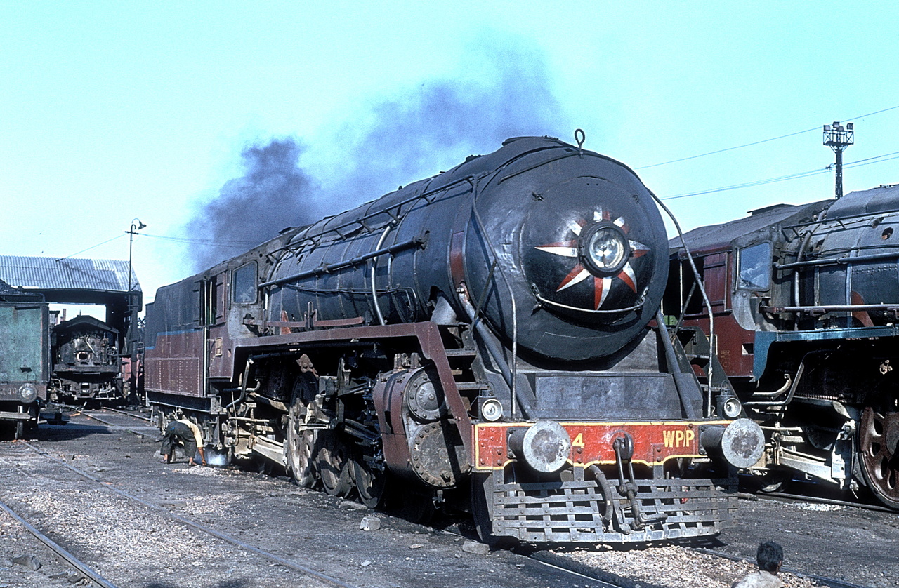 WP 7044 at Varanasi 