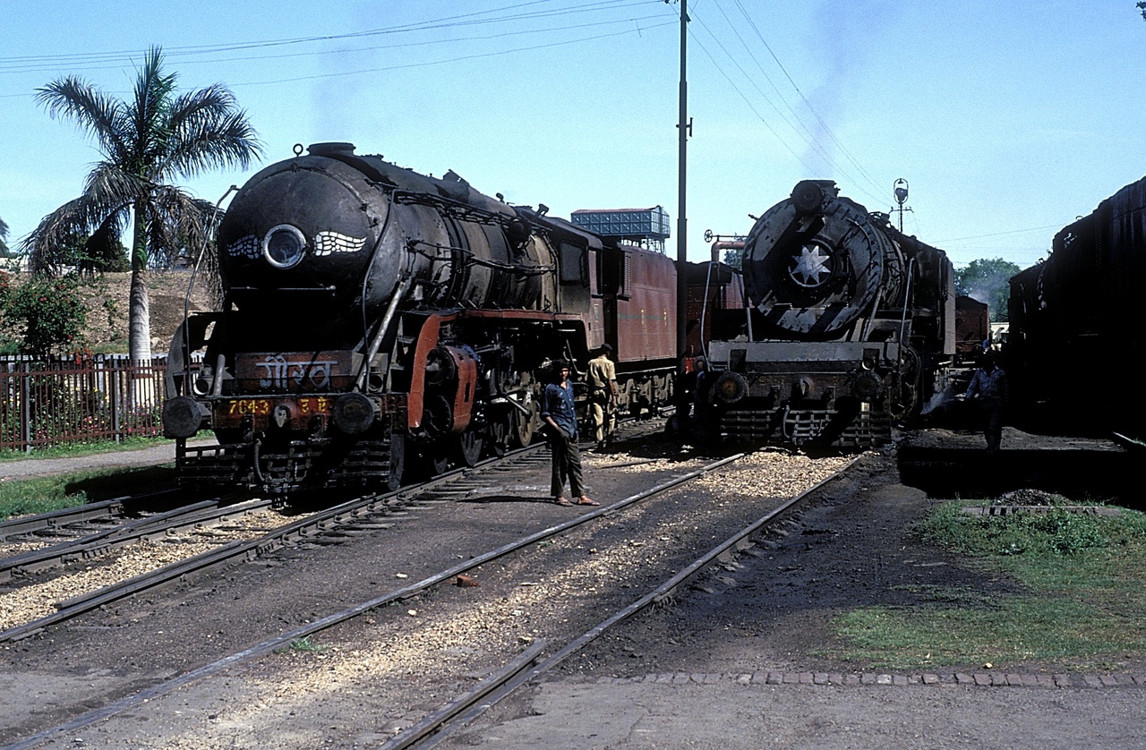 WP 7043 at Laksar 