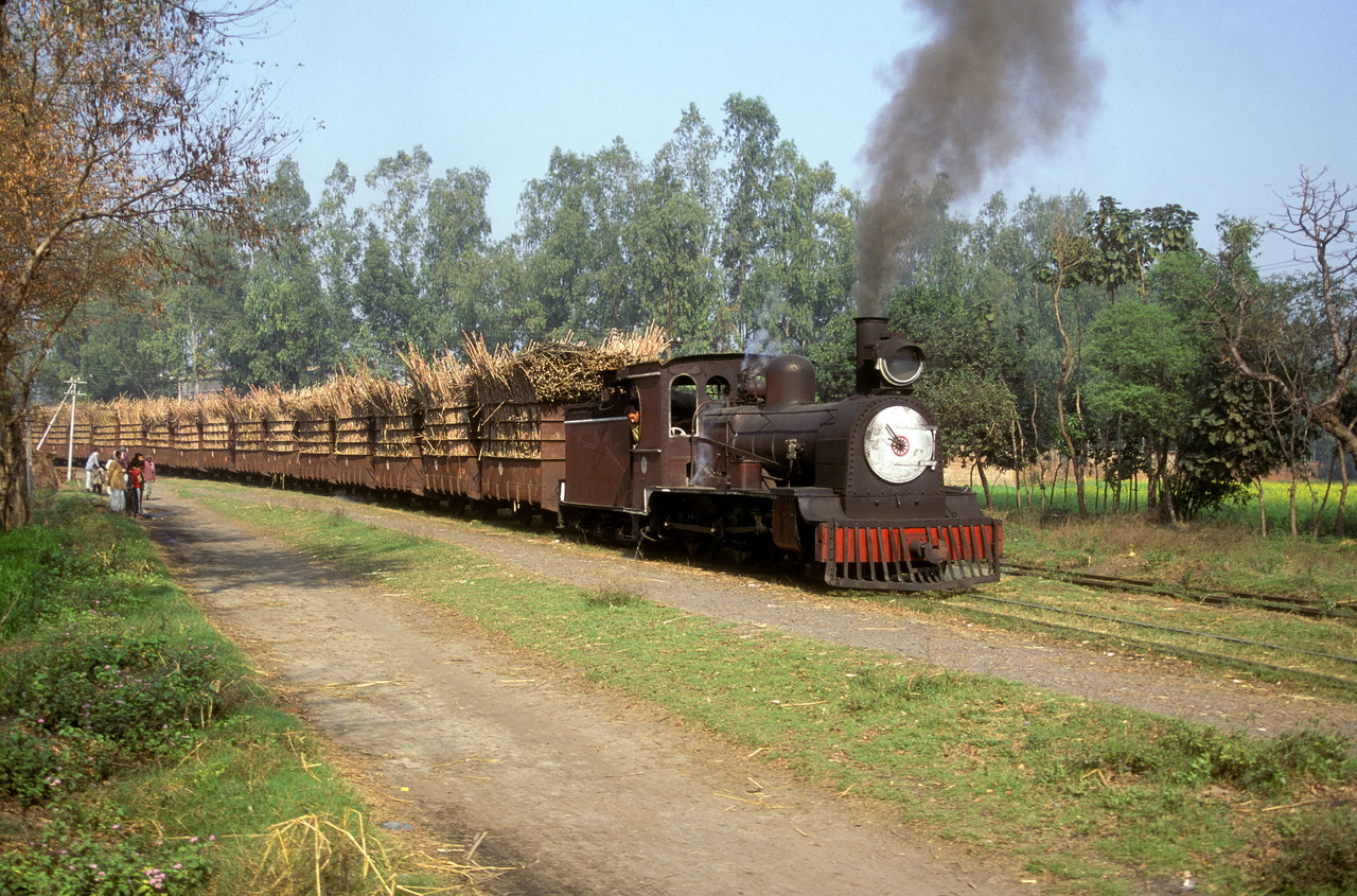 No. 54 at Saraya Sugar Mills