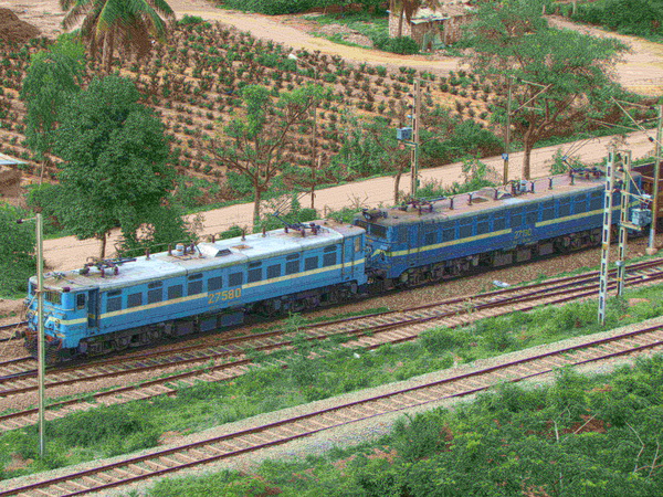 BNDM WAG7 twins near SGWF (Som)