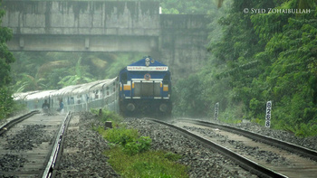 Konkan Monsoon Delight