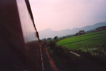 pic06.jpg