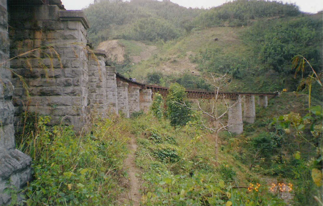 Doyang_Viaduct_2.jpg