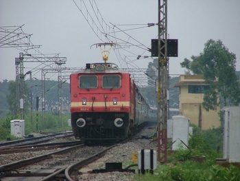 Lalb1.jpg